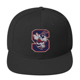 Swarm Snapback Hat